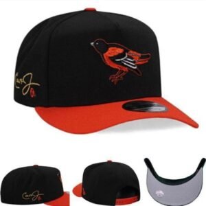 Two tone Premium cap - Bird logo