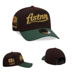 Two tone Premium cap- Astnos logo